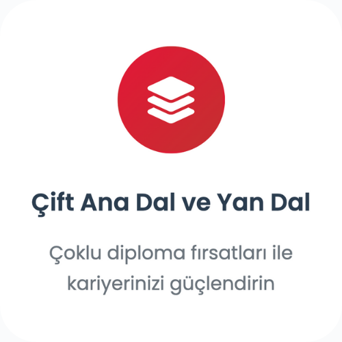 Çift Ana Dal ve Yan Dal